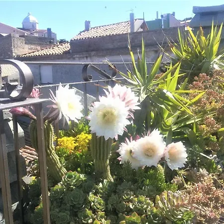 Fantastic Large House With Beautiful Roof Terraces *